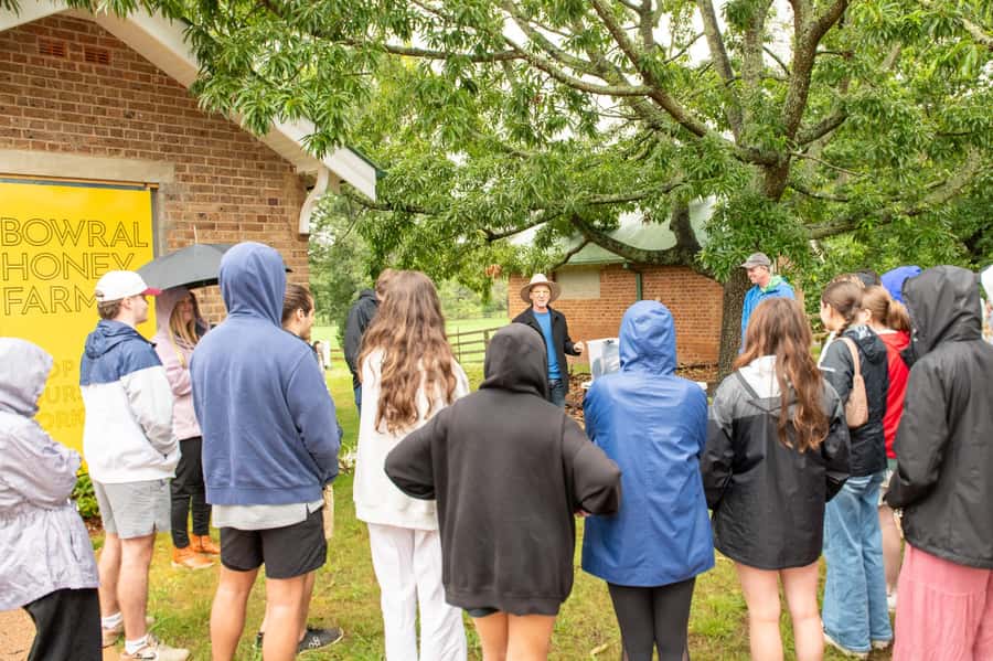 Bowral Honey Farm Tour, Honey Tasting & morning Tea - The modern hive workshop: how a Flow Hive fits in