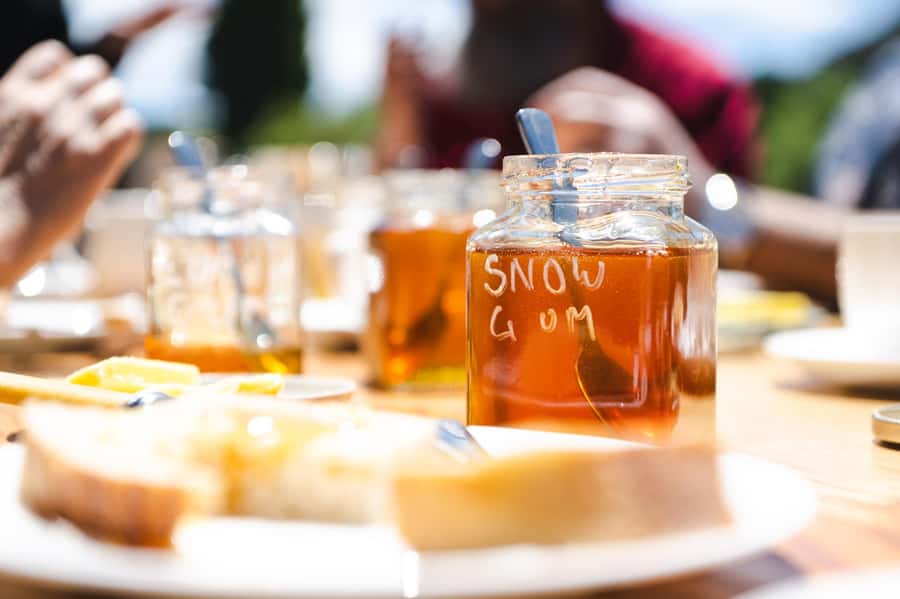 Bowral Honey Farm Tour, Honey Tasting & morning Tea - Honey tasting on the terrace: what you’ll sample and how to compare it