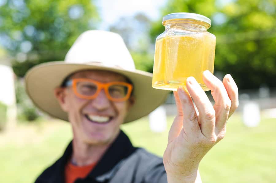 Bowral Honey Farm Tour, Honey Tasting & morning Tea - Should you book this Bowral Honey Farm tour?