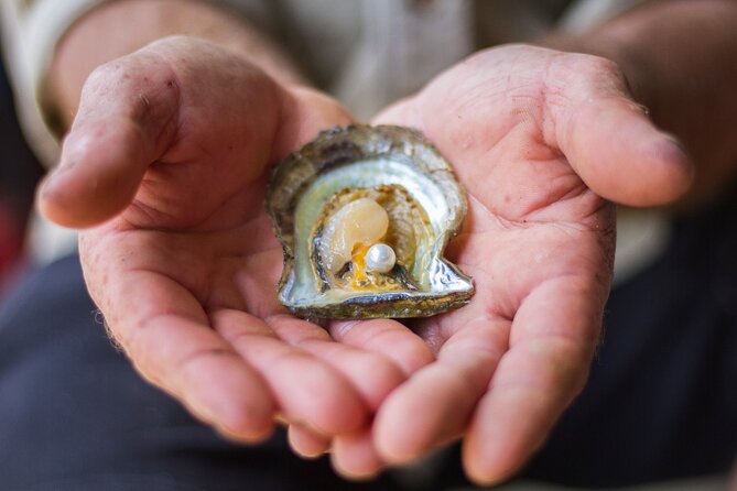 Broken Bay Pearl & Oyster Farm Tours - Pearl shopping at the farm: buying Australian pearls direct (and what to watch for)