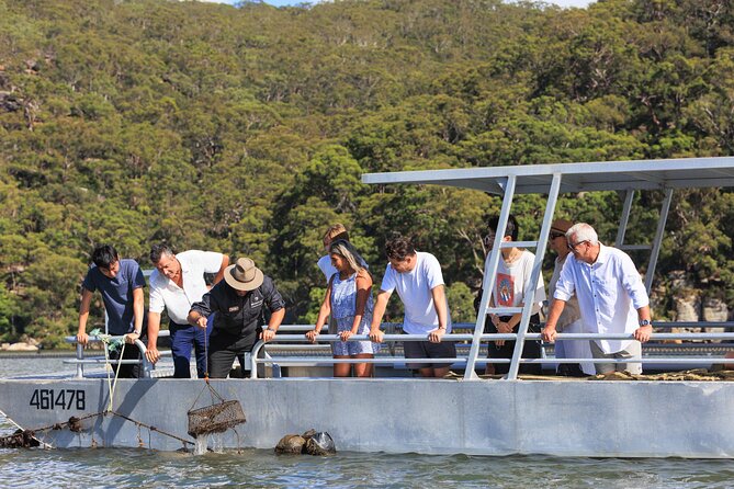Broken Bay Pearl & Oyster Farm Tours - What you’ll learn about pearls and oysters (without it turning into a lecture)