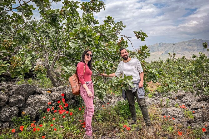 Bronte Pistachio Farm Tour and Lunch with Farmer - Key highlights at a glance