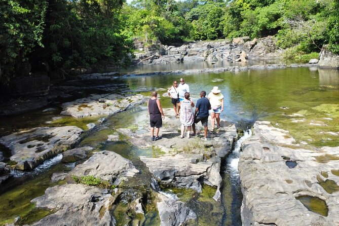 Buggy Ride, Horseback, Zipline,Eco Farm,Macao Beach - Buggy Ride Through Rural Trails and River Crossings