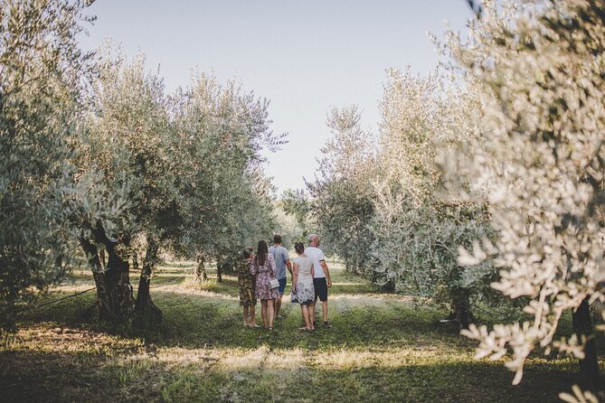 Buje: Authentic Istrian family farm, guided walk, foods & wine - Should You Book Olivo Istriano in Buje?