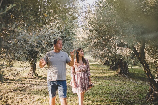 Buje: Authentic Istrian family farm, guided walk, foods & wine - How Harvesting and Olive Oil Production Connect to Flavor