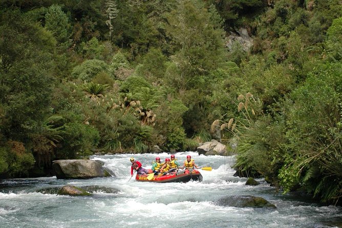 Bullswool Heritage Farm General Entry Ticket - The Karangahake Native Bird Reserve: conservation you can walk through