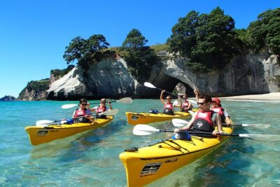Bullswool Heritage Farm General Entry Ticket - Horses, kauri, and gold: the stable museum plus historic Kauri & Gold Museum