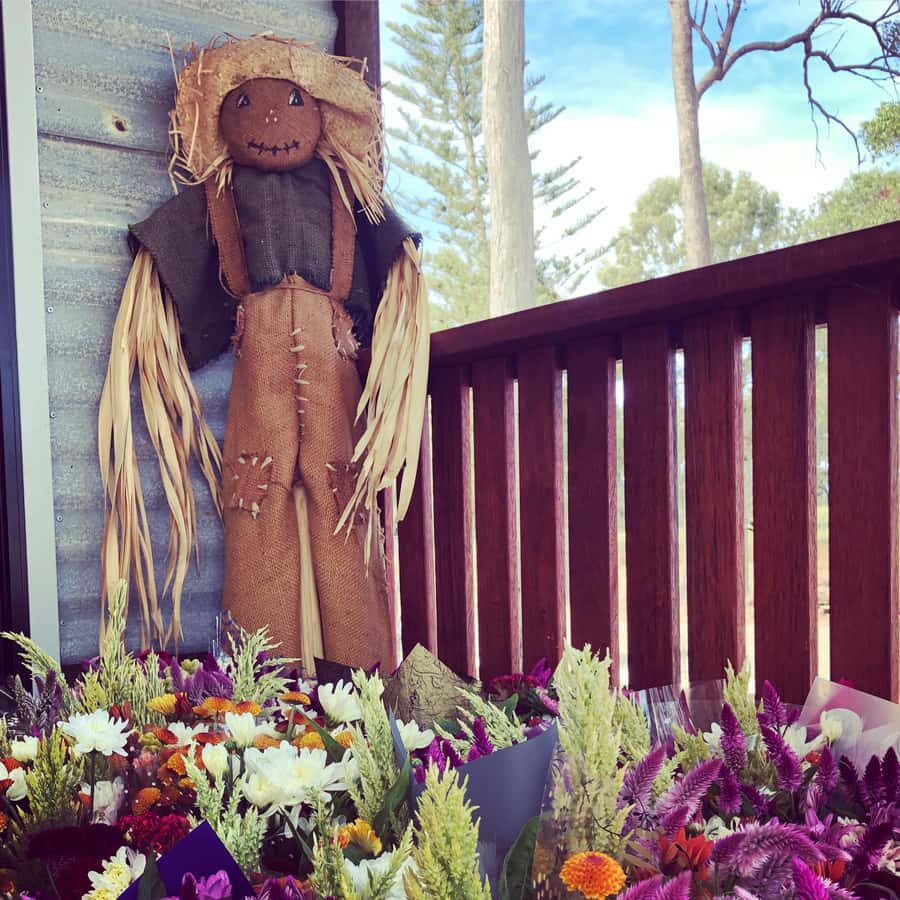Bundaberg: Family-Friendly Entry Ticket to Splitters Farm - Where Splitters Farm fits in your Bundaberg day