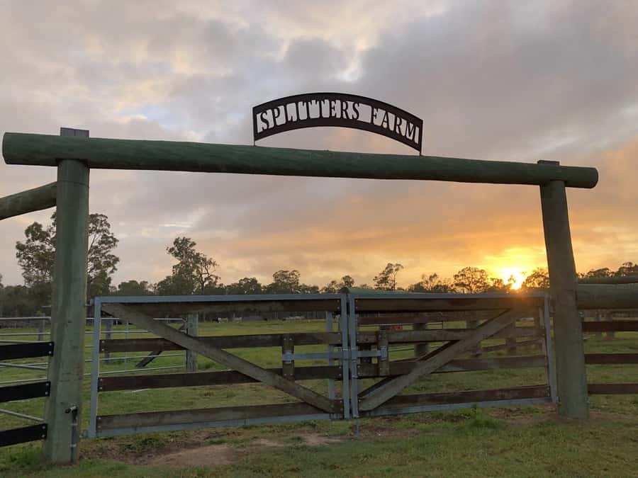 Bundaberg: Family-Friendly Entry Ticket to Splitters Farm - The self-guided paddock walk: your pace, your photos