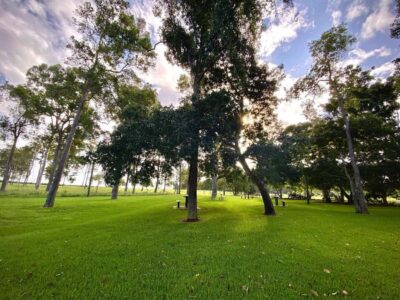 Bundaberg: Family-Friendly Entry Ticket to Splitters Farm - Check in at the main office (and why it matters)
