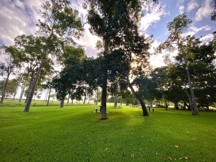 Bundaberg: Family-Friendly Entry Ticket to Splitters Farm - Check in at the main office (and why it matters)