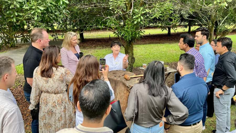 Bundaberg: Macadamia Orchard Tour - The Steinhardt Family Story: What a Working Farm Legacy Looks Like