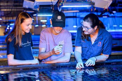 Bundaberg: Monsoon Aquatics Coral Farm Guided Tour - Finding the farm near Port of Bundaberg