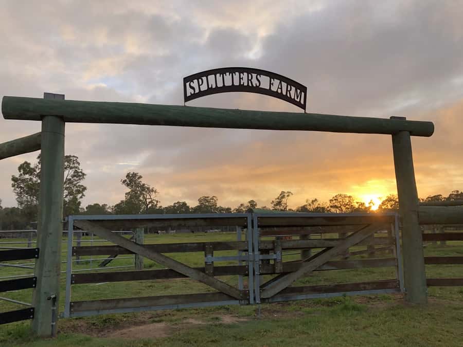 Bundaberg: Splitters Farm Guided Tour - Hand-Feeding 400+ Rescue Animals in Bundaberg