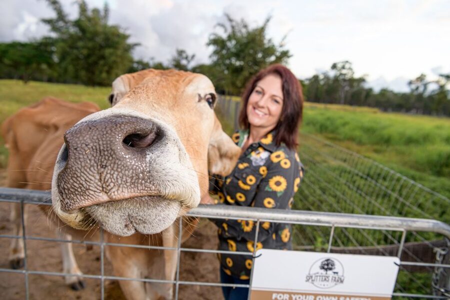 Bundaberg: Splitters Farm Guided Tour - Paddock Stops That Actually Mean Something