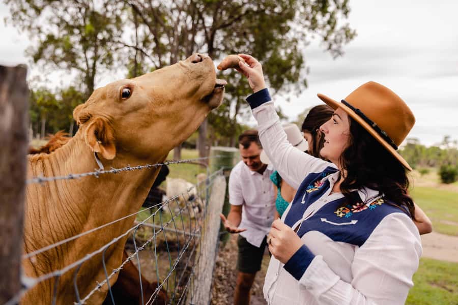 Bundaberg: Splitters Farm Guided Tour - Photography Tips for Paddocks and Creek Surrounds