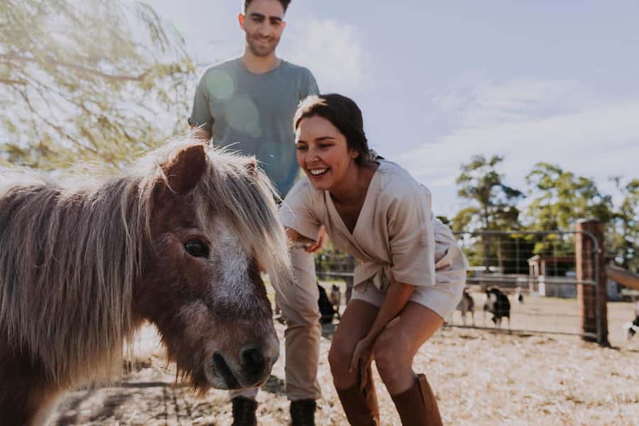 Bundaberg: Splitters Farm Guided Tour - Who This Tour Suits Best (and Who Should Think Twice)