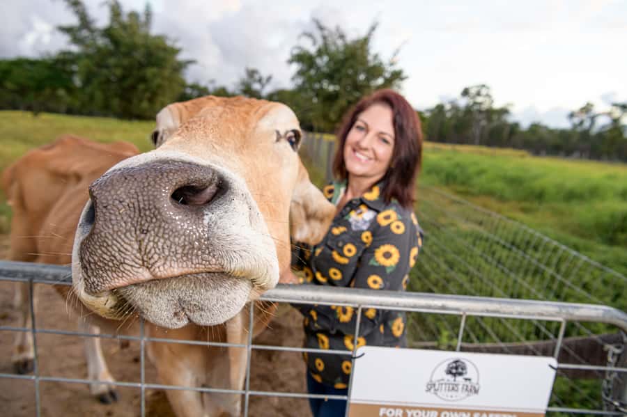 Bundaberg: Splitters Farm Guided Tour - Price and Value: Is $38 Worth It?