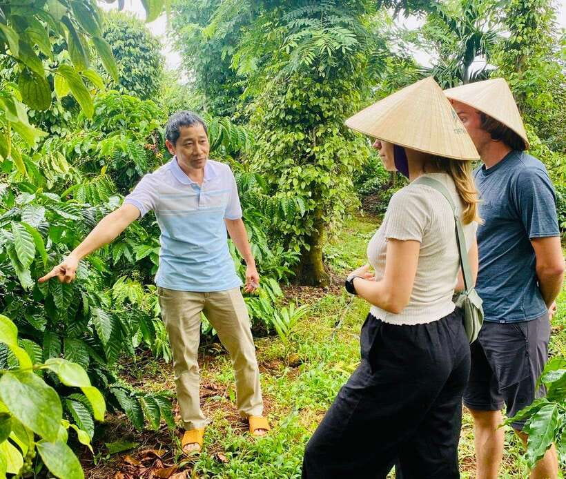Buon Ma Thuot: Bean to Brew Coffee Farm Tour with Tasting - Harvest and processing: Robusta vs Arabica, and the wet-dry method