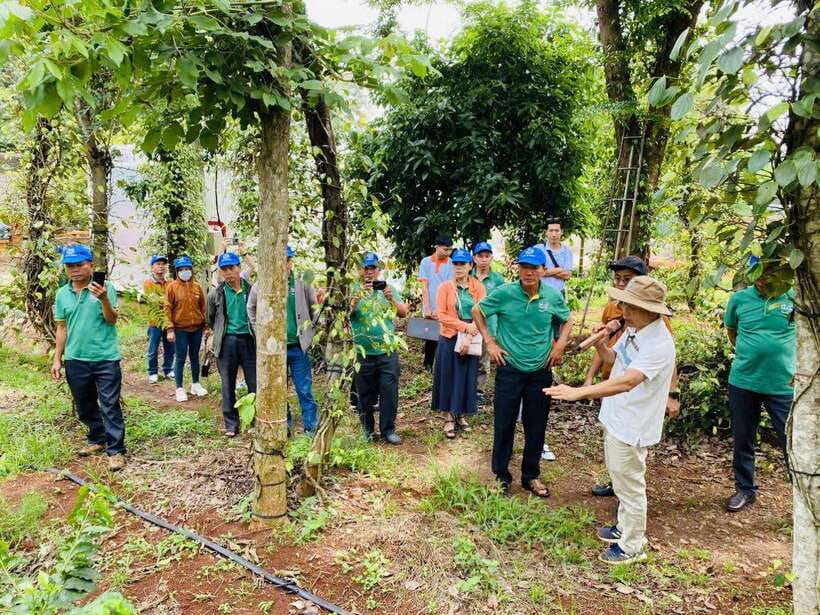 Buon Ma Thuot: Bean to Brew Coffee Farm Tour with Tasting - Practical tips so you get the most from it