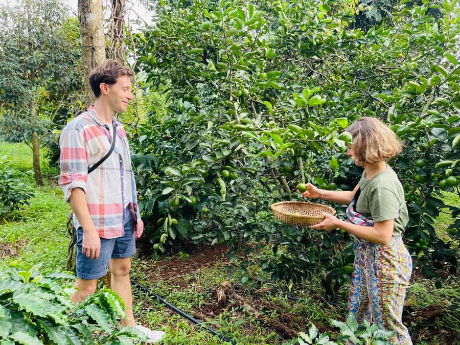 Buon Ma Thuot: Coffee Farm Tour (Bean to Brew) with Pickup - Why Buon Ma Thuot Coffee Feels Personal