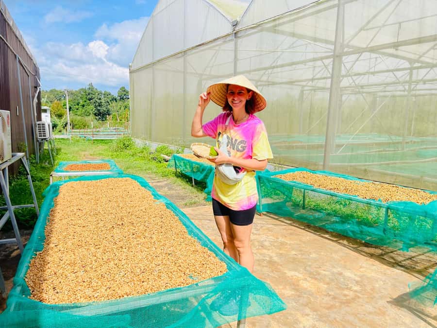 Buon Ma Thuot: Coffee Farm Tour (Bean to Brew) with Pickup - The Wet-Dry Method: How Beans Become Coffee You Can Taste