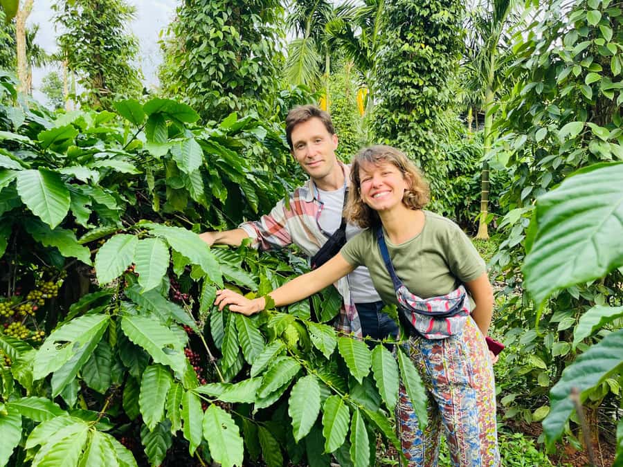Buon Ma Thuot: Coffee Farm Tour (Bean to Brew) with Pickup - Pickup, Timing, and Getting to the Right Place
