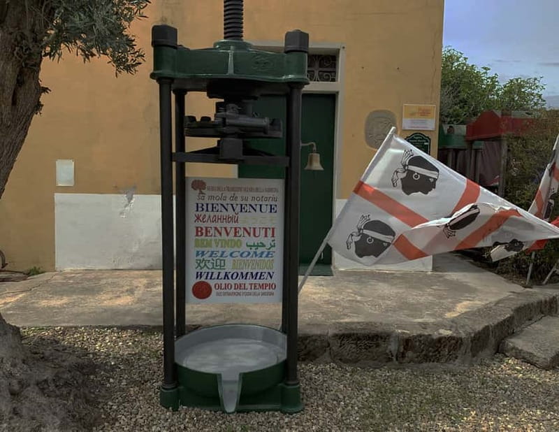 Cagliari Olive Oil Farm & Tasting (Since 1600, 20 Min Away) - The Live EVO Mill Tour: From Harvest to Bottling, Without the Boring Parts