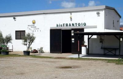 Cagliari Olive Oil Farm & Tasting (Since 1600, 20 Min Away) - Sa mola de su notariu: Museum Rooms, a Stone Mill, and Cistern Lamps