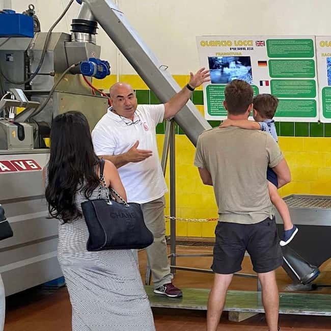 Cagliari Olive Oil Farm & Tasting (Since 1600, 20 Min Away) - The Olive Oil Quality Masterclass: How to Taste Extra Virgin Like You Mean It