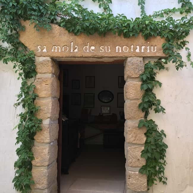 Cagliari Olive Oil Farm & Tasting (Since 1600, 20 Min Away) - Who This Experience Fits Best (and Who Might Skip It)