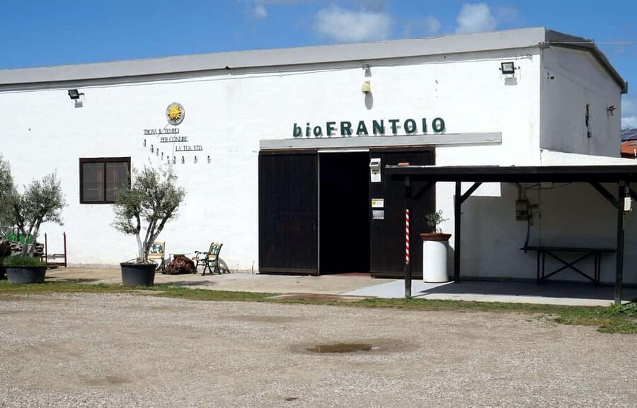 Cagliari Olive Oil Farm & Tasting (Since 1600, 20 Min Away) - Sa mola de su notariu: Museum Rooms, a Stone Mill, and Cistern Lamps