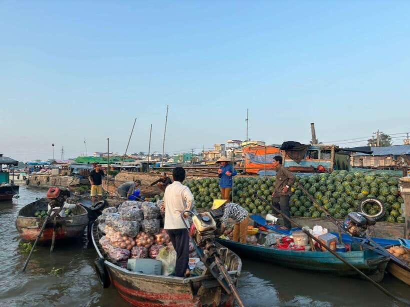 Can Tho: Floating Market, Canal, Cacao Farm & Mekong' Life - Canals, Coconut Palms, and Village Lanes on Foot