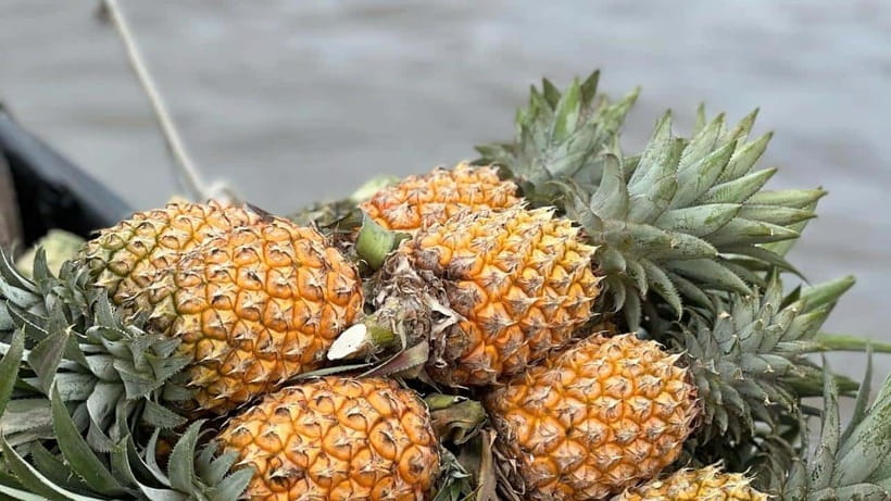 Can Tho: Floating Market explore local life, Mekong farm - Why the 5:30 AM start makes this tour work