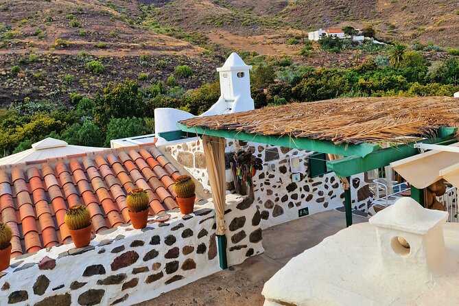 Canarian farmhouse in Mogan, mango farm and vermouth factory - What You’ll Actually Do in Two Hours (Gran Canaria, Mogán)