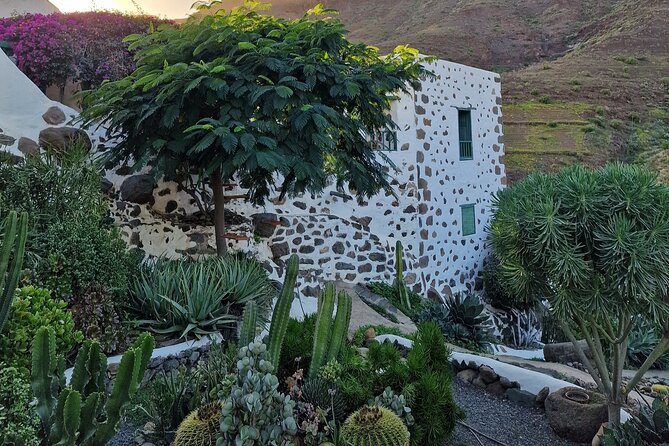 Canarian farmhouse in Mogan, mango farm and vermouth factory - The Mango Dessert: Cold, Creamy, and Surprisingly Different