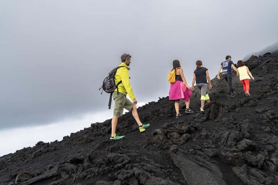 Catania: Guided Tour of Etna with Farm Visit & Food Tasting - Hotel Pickup to Etna: How the 7 Hours Actually Feel