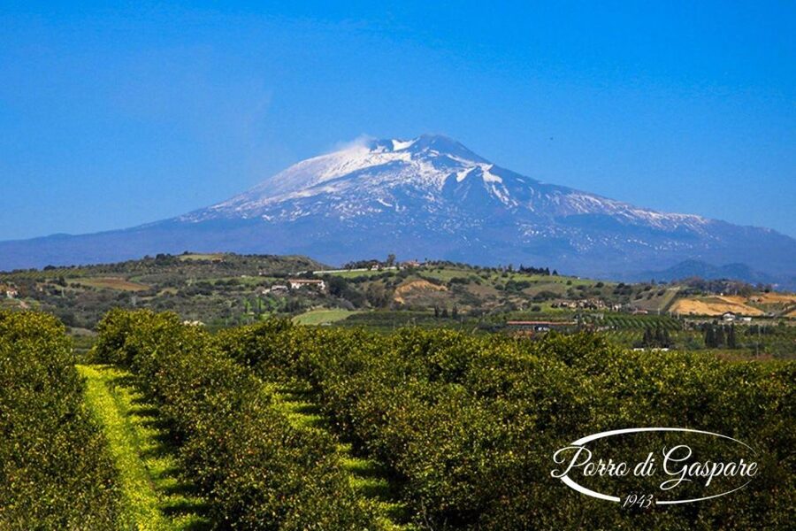Catania: Pozzo di Gaspare Farm Guided Tour with Tastings - Key reasons Pozzo di Gaspare works so well