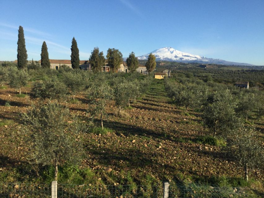 Catania: Pozzo di Gaspare Farm Guided Tour with Tastings - Price and logistics: is $41 for 2 hours fair value?
