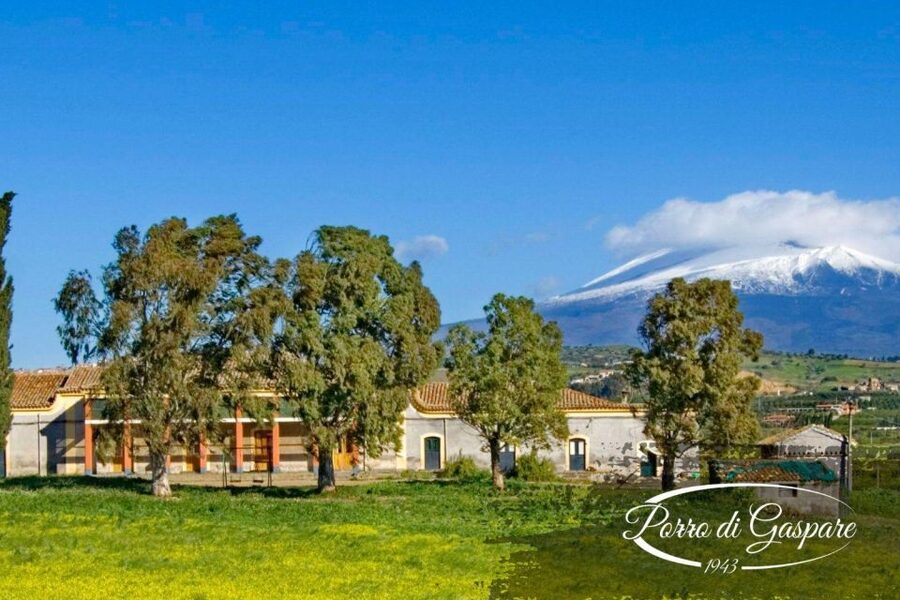 Catania: Pozzo di Gaspare Farm Guided Tour with Tastings - Who should book this Catania farm tour, and who might not?