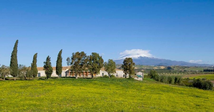 Catania: Pozzo di Gaspare Farm Guided Tour with Tastings - Should you book Pozzo di Gaspare?