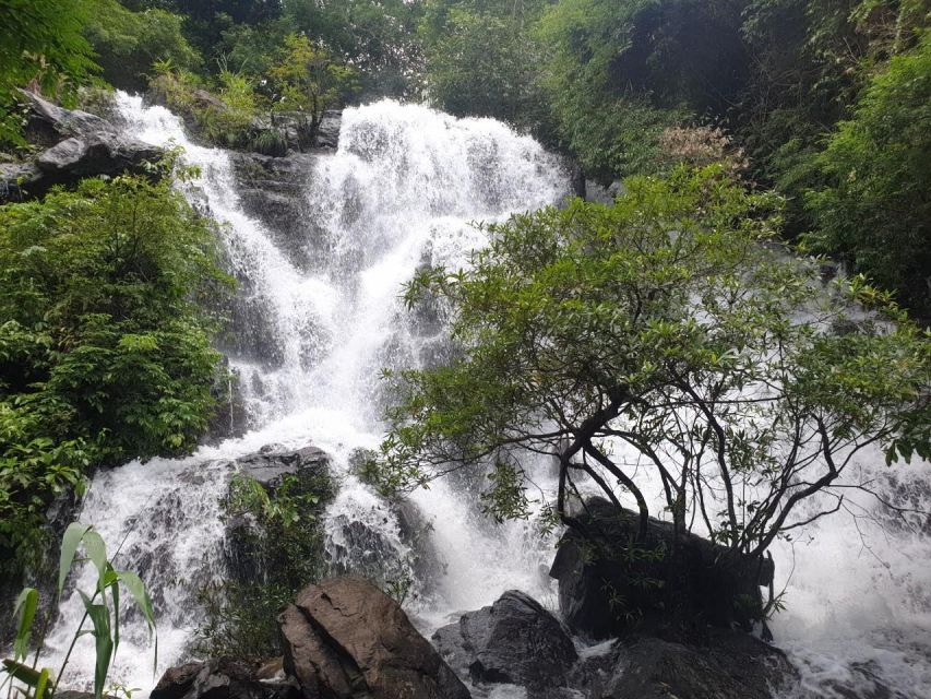 Cave Explore- Paradise Cave & Phong Nha Cave - Duck Farm - Heading Into Phong Nha Cave: The Kingdom of Cave
