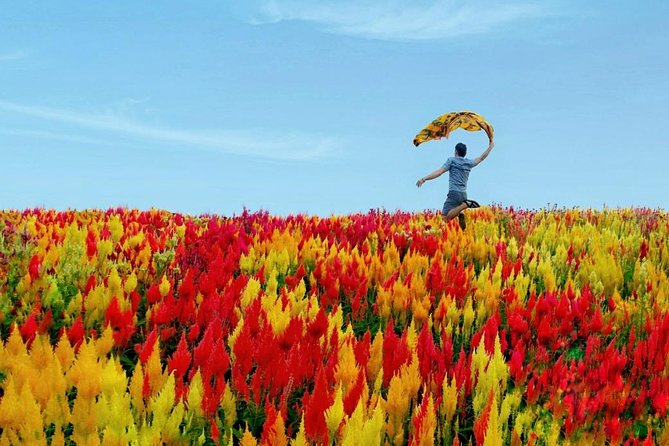 Cebu: Private Twin City Tour +Temple of Leah + Sirao Flower Farm - Door-to-door pickup and the 6 to 8 hour timing reality
