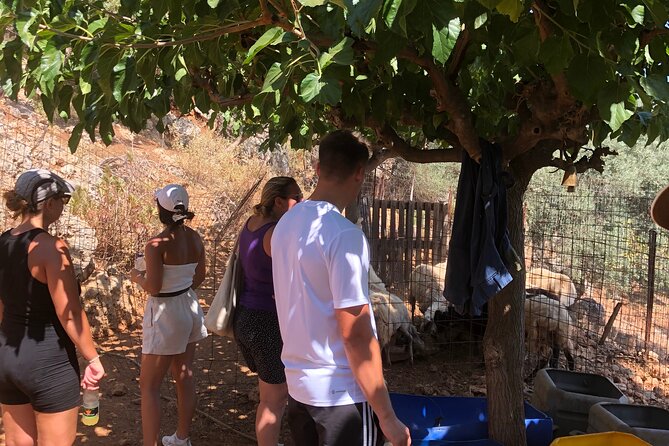 Chania Area: Cooking Class at a Farm in Stylos Village (organic) - Cooking Lunch With Cretan Staples: Olive Oil, Vegetables, Meat, and Cheese