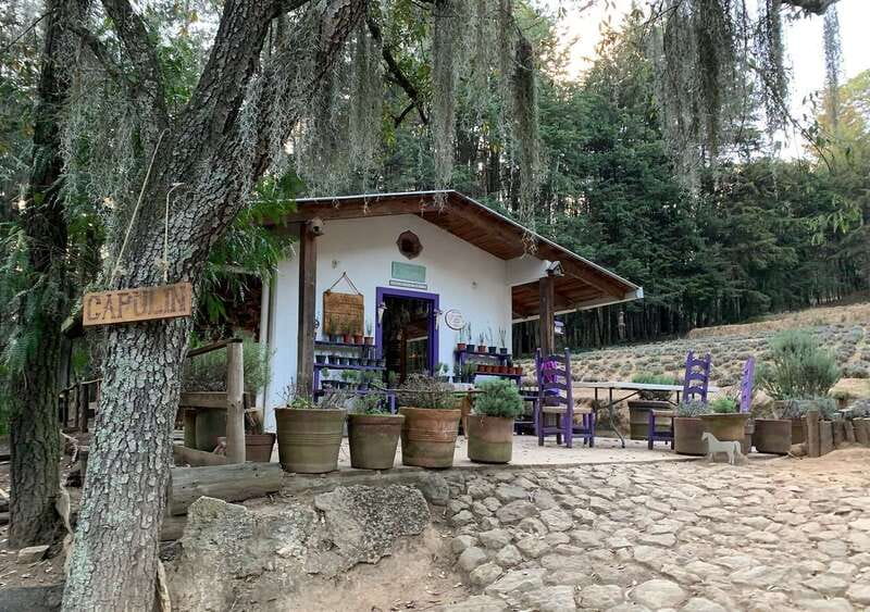 Chautla's Castle, Lavender Farm, and Valquirico Private Tour - From Puebla to Ex-Hacienda Chautla: A Smooth Start