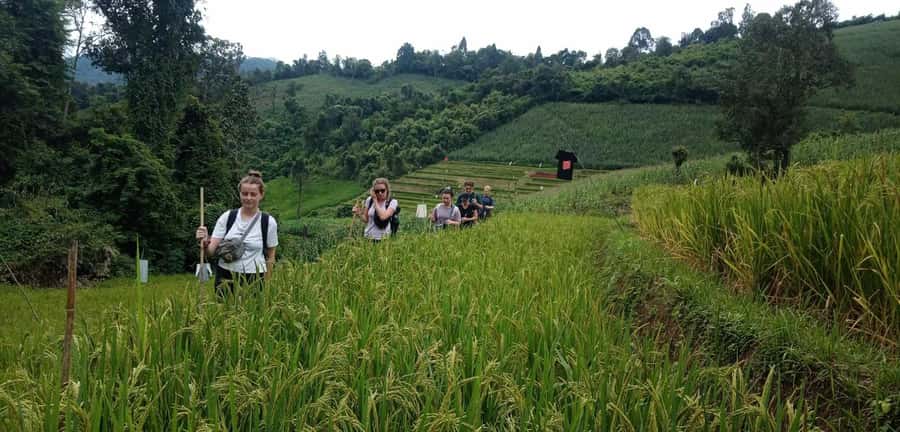 Chiang Mai: 2-Day Jungle Trek with Elephant Farm & Raft Ride - Mae Wang River bamboo rafting: calm water, mosquito-proof clothes