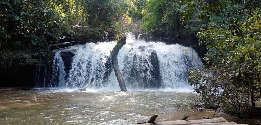 Chiang Mai: 2-Day Jungle Trek with Elephant Farm & Raft Ride - What the pace really feels like (and who this suits best)