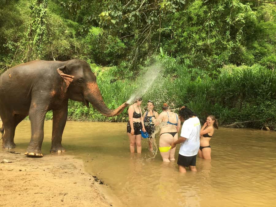 Chiang Mai: 2-Day Jungle Trek with Elephant Farm & Raft Ride - From Baan Meesuk to the market: starting with food and orientation