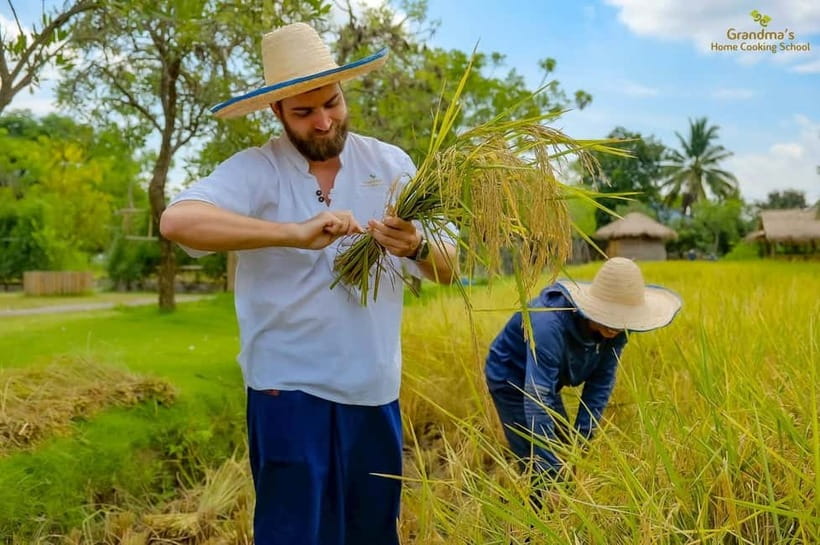 Chiang Mai: Authentic Thai Cooking Class and Farm Visit - Cooking begins: how curry paste sets the tone