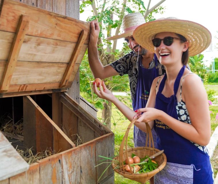 Chiang Mai: Authentic Thai Cooking Class and Farm Visit - Price and value in plain terms